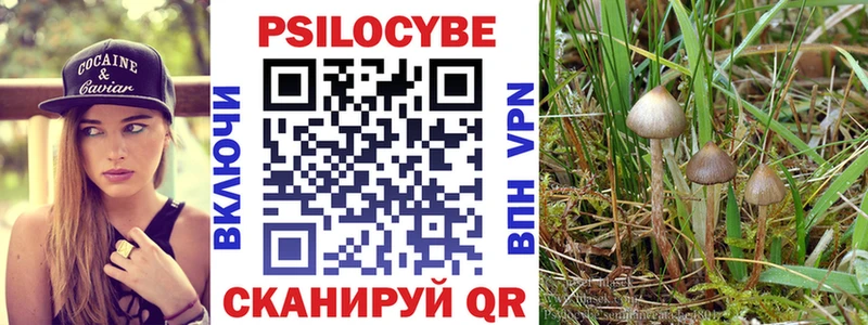 Псилоцибиновые грибы Magic Shrooms  магазин    Георгиевск 