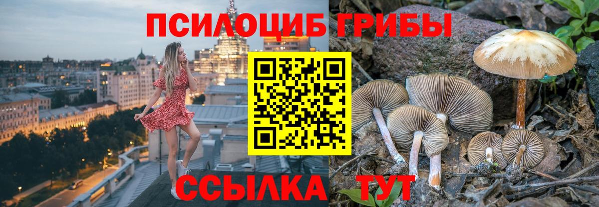 Псилоцибиновые грибы MAGIC MUSHROOMS Георгиевск