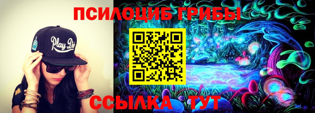 купить   Вход с VPN  Георгиевск  Псилоцибиновые грибы мицелий  Псилоцибиновые грибы Cubensis 