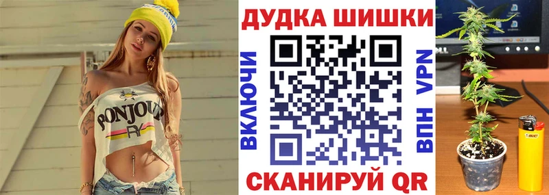 сколько стоит Георгиевск Конопля ГИДРОПОН